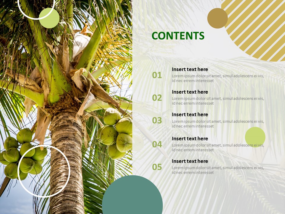 palm-trees-and-coconuts-free-template-design for Free Palm Tree Stencil Printables Palm Trees and Coconuts - Free Template Design for Free Palm Tree Stencil Printables