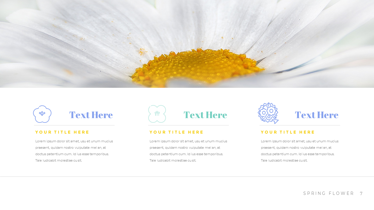 Spring Flower Business plan PPT