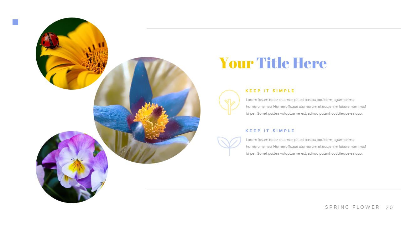 Spring Flower Business plan PPT