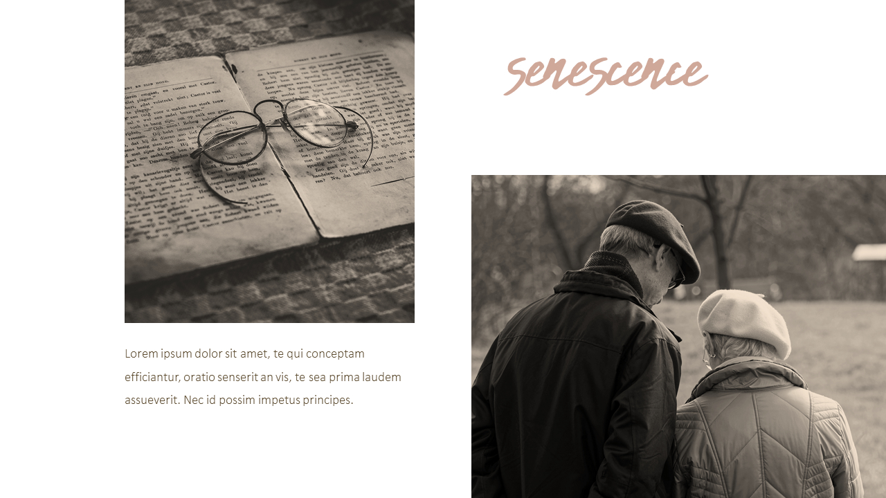 old-age-ppt-theme