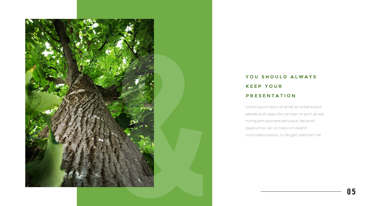 Baumvorlage für Powerpoint