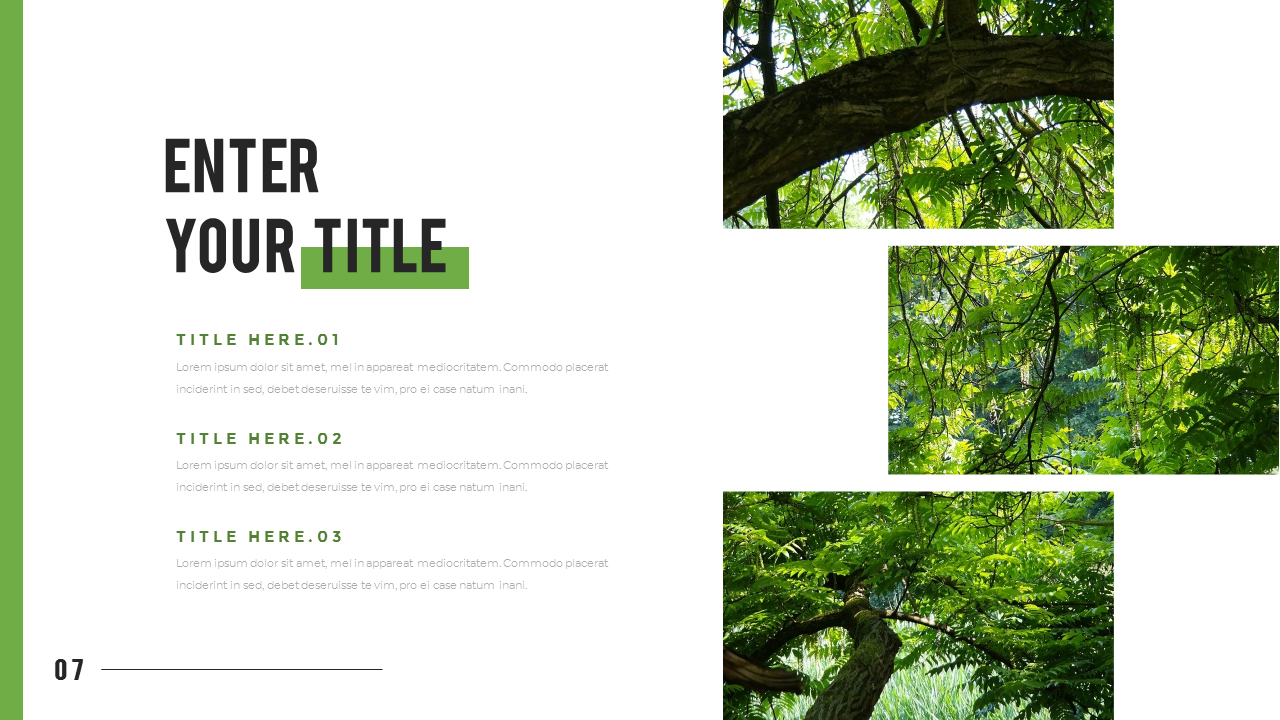 Mountain & Forest PowerPoint Templates for Presentation