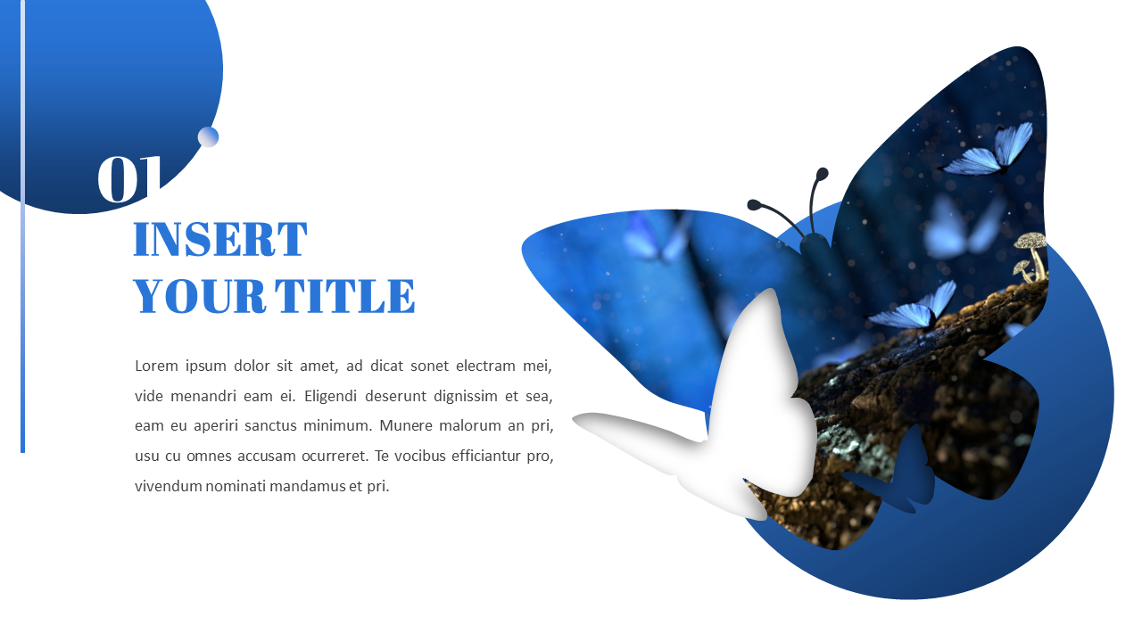 Butterfly Slide Presentation