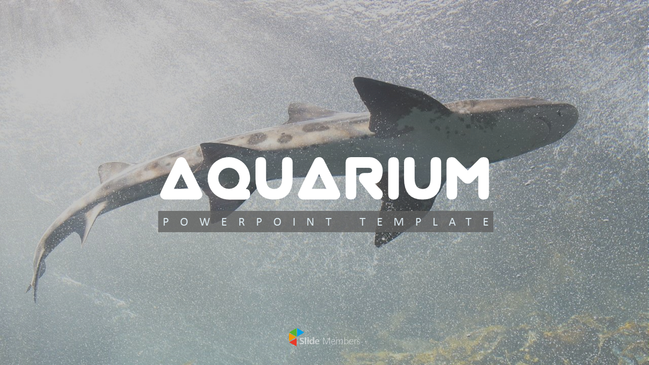 aquarium-simple-powerpoint-template-design