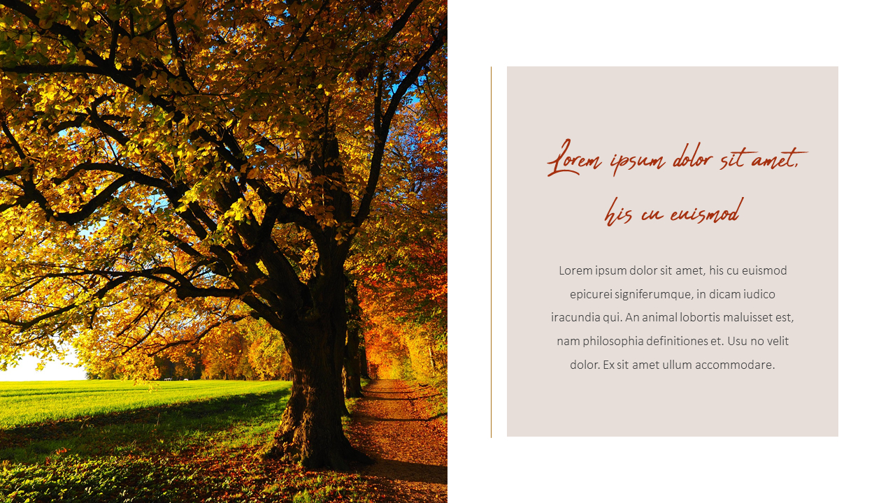 Fall Theme PPT Templates