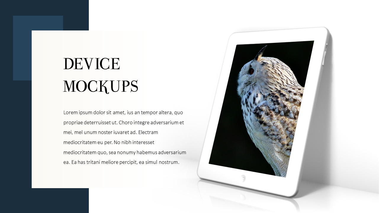 Owl Slide PPT