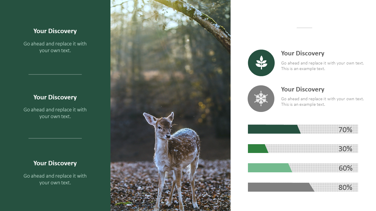 Forest PowerPoint Templates Multipurpose Design