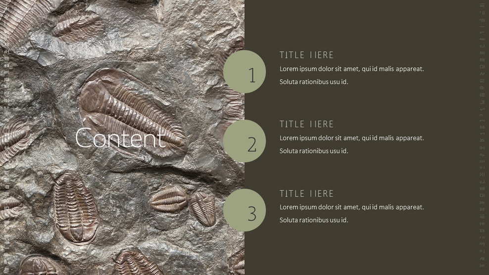 Fossil Templates PPT