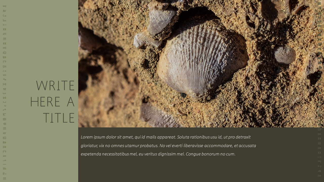 Fossil Templates PPT