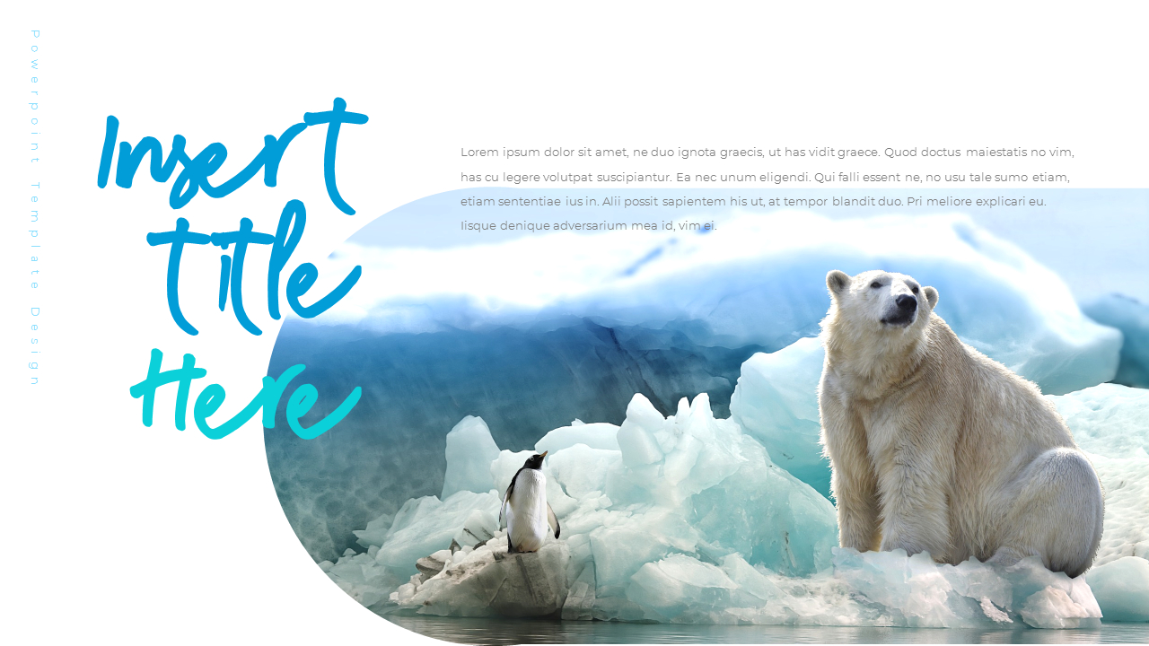 Where do polarbears live PPT Slides Where do polarbears live PPT Slides