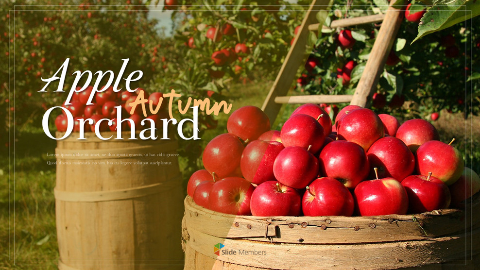 사과 과수원 프레젠테이션 PPT_01