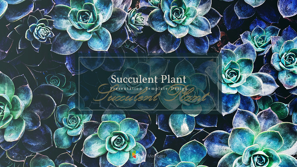 Pianta succulenta Business PPT_01