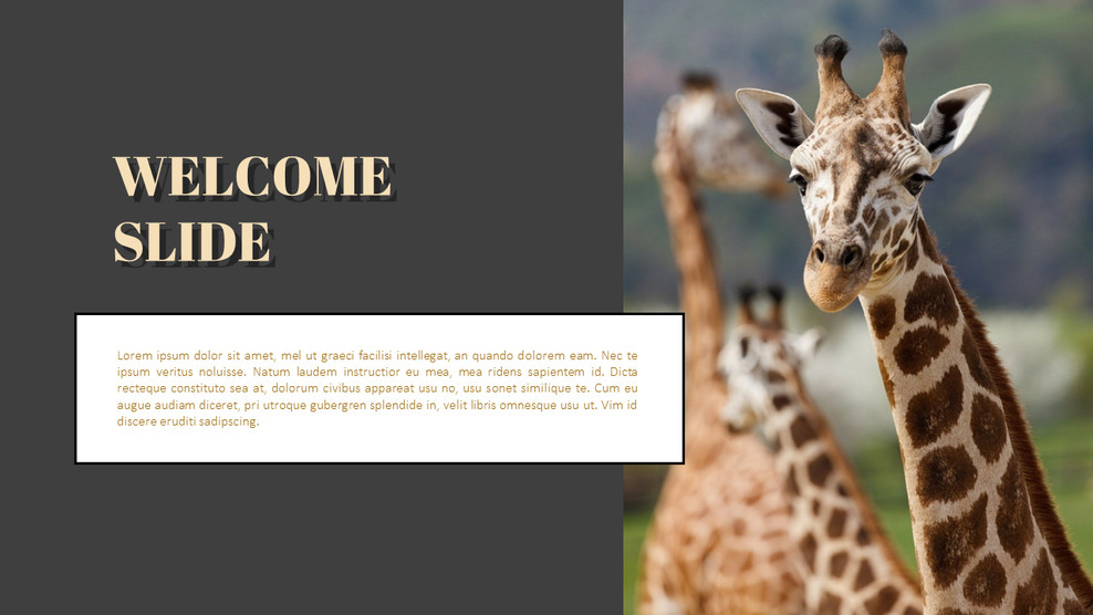 zoo-powerpoint-templates-for-presentation