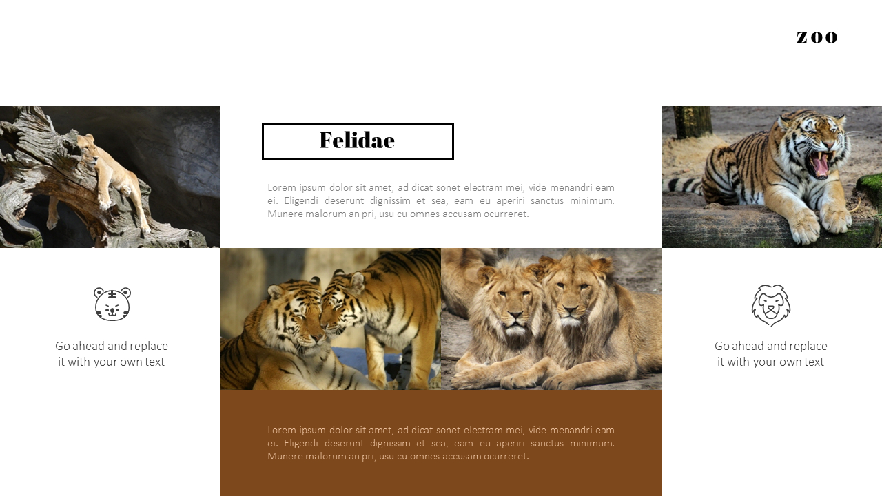 Zoo PowerPoint Templates for Presentation