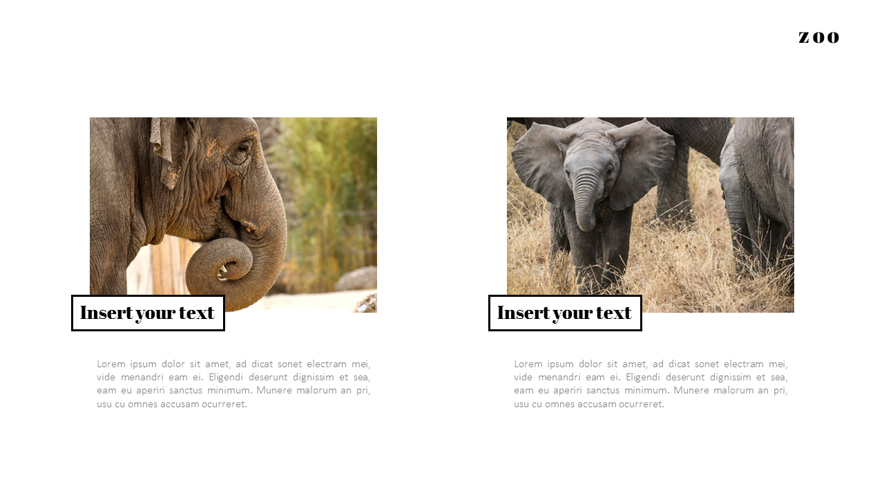 Zoo PowerPoint Templates for Presentation
