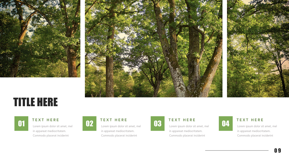 Mountain & Forest Keynote Presentation Template