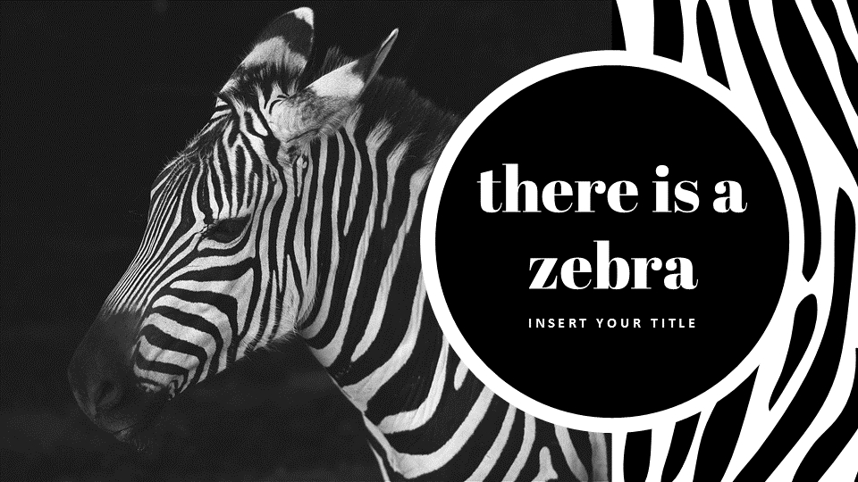 얼룩말 스타트업 PPT 템플릿_02