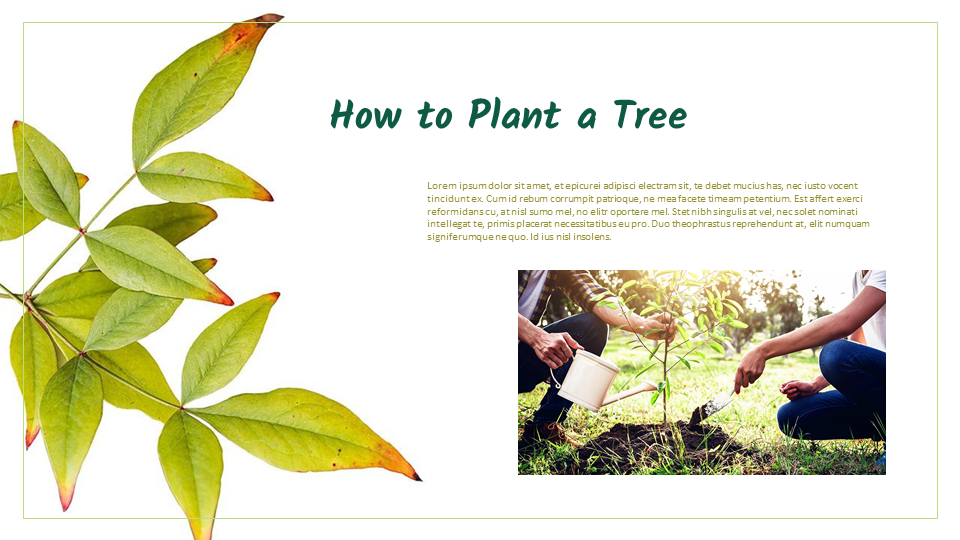 园艺 简单的ppt模板_03