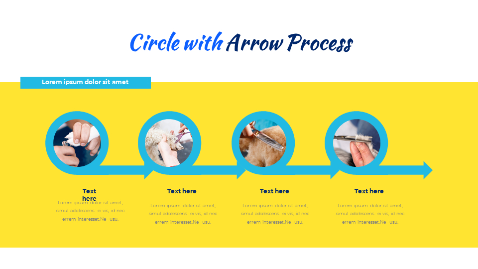 pet-salon-easy-ppt-template