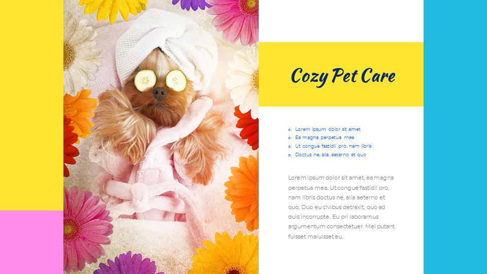 pet-salon-easy-ppt-template