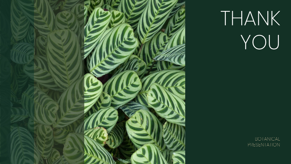 Botanical Google PowerPoint Slides