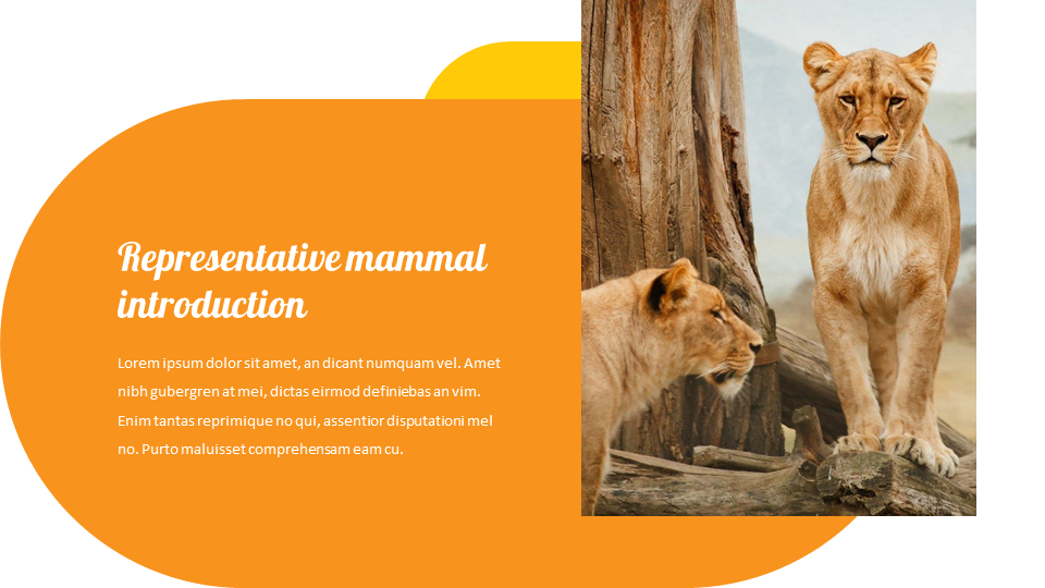 zoo Google Slides Presentation TemplatesAnimal