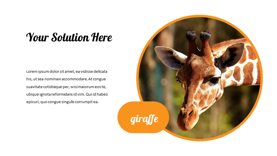 zoo Google Slides Presentation TemplatesAnimal