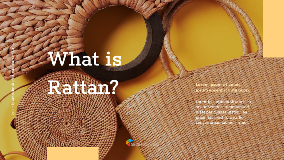 what is rattan Presentations PPT