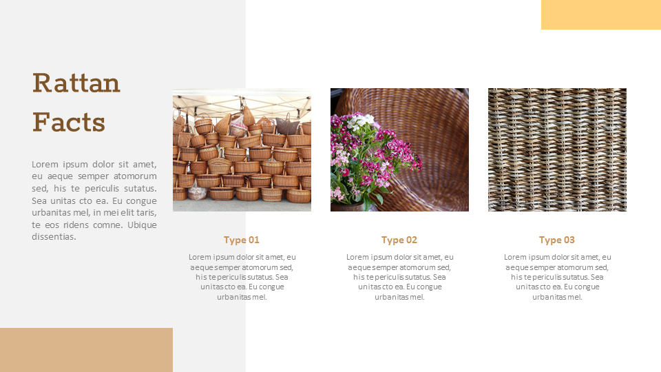 what is rattan Presentations PPT