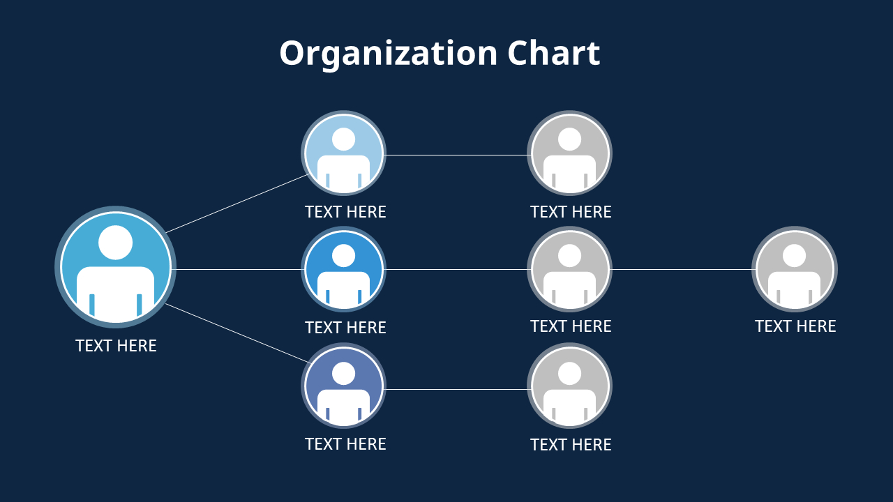 Organizational Chart