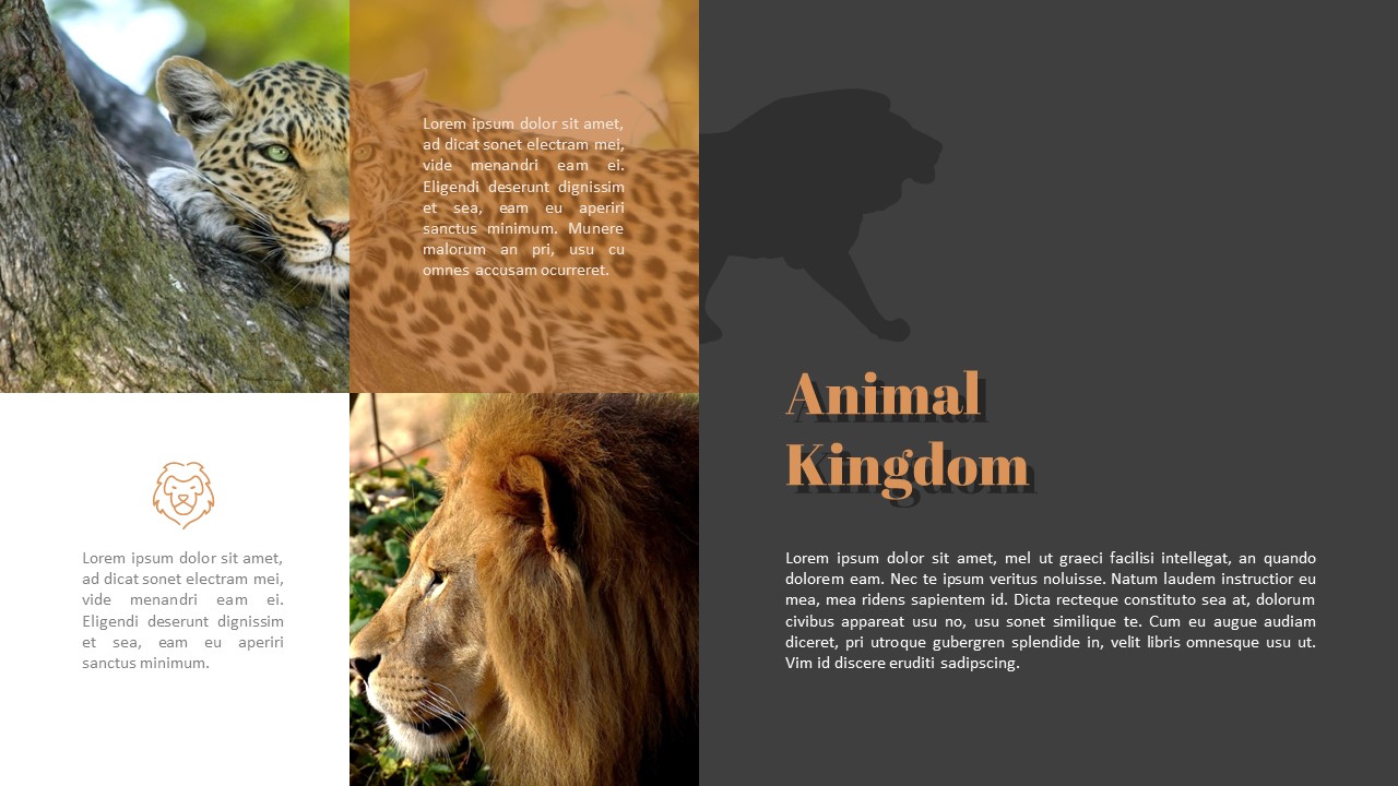 Zoo Google Slides Templates for Your Next Presentation