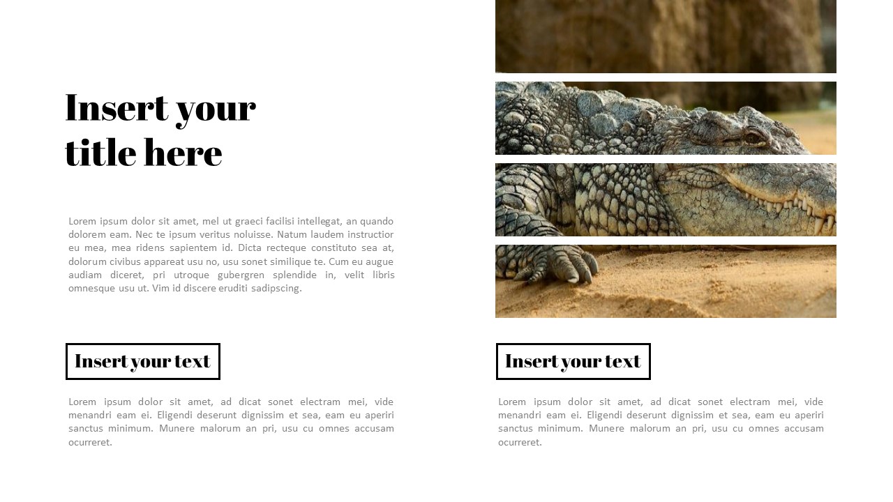 Zoo Google Slides Templates for Your Next Presentation