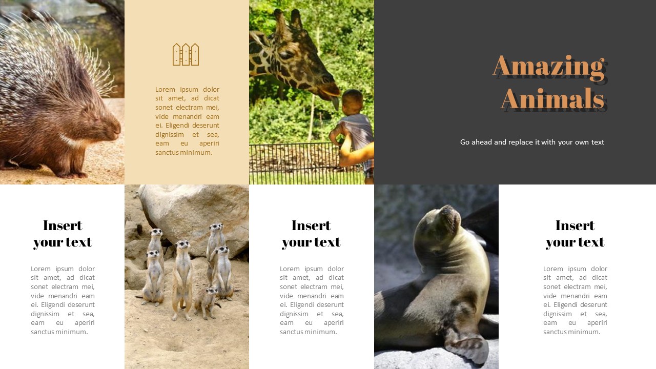 Zoo Google Slides Templates for Your Next Presentation