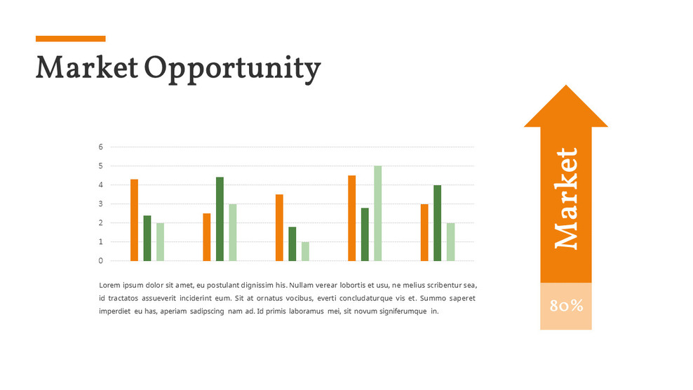 Market Opportunity Template Layout Single Slides