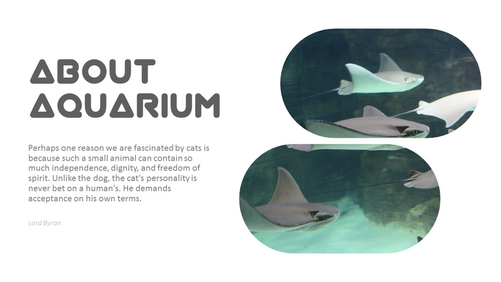 ¿Cómo puede obtener más información sobre nuestra empresa con esta diapositiva de descripción general gratuita?_01