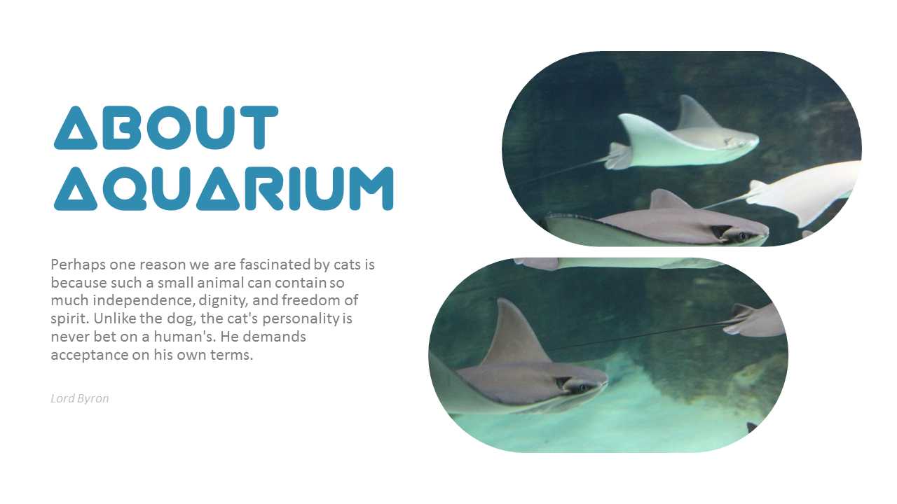 ¿Cómo puede obtener más información sobre nuestra empresa con esta diapositiva de descripción general gratuita?_02