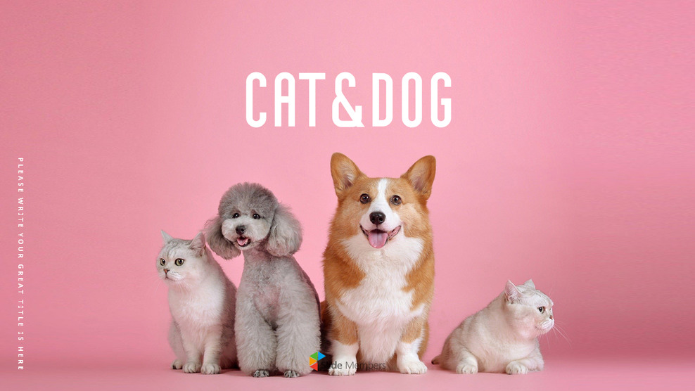 猫犬 ビジネス事業ピピチ_01