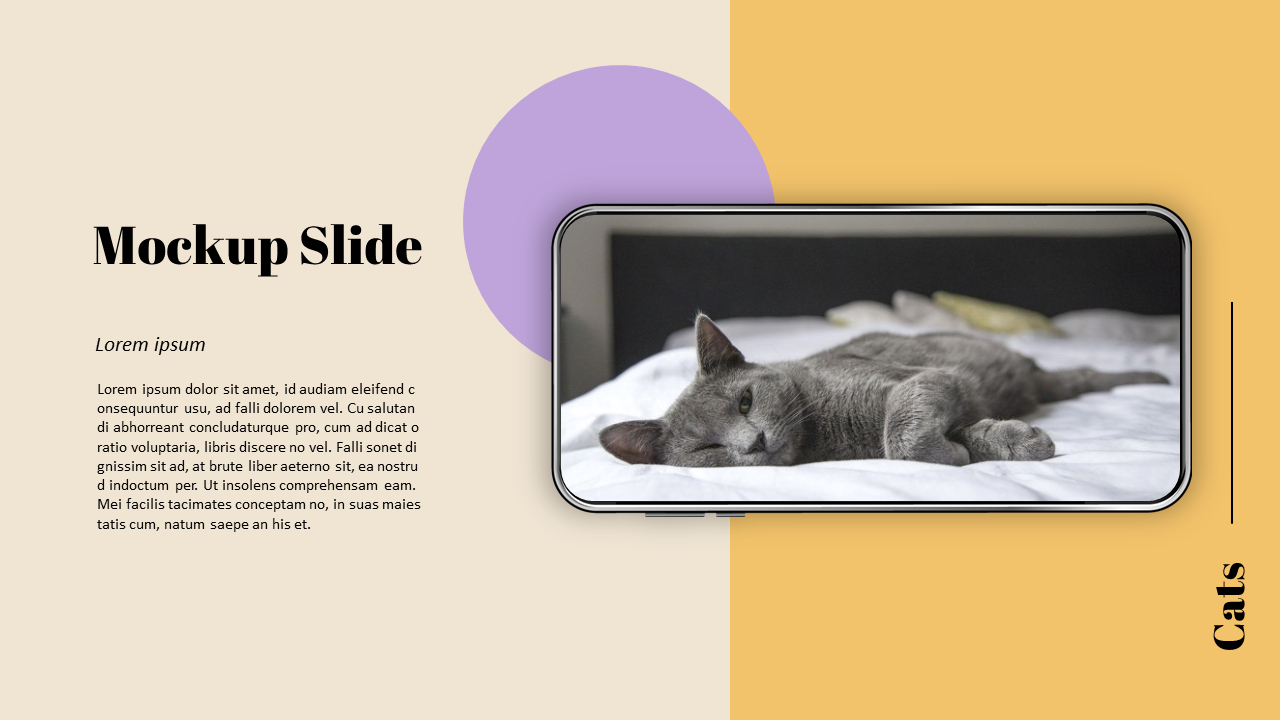 Raise a Cat Presentation