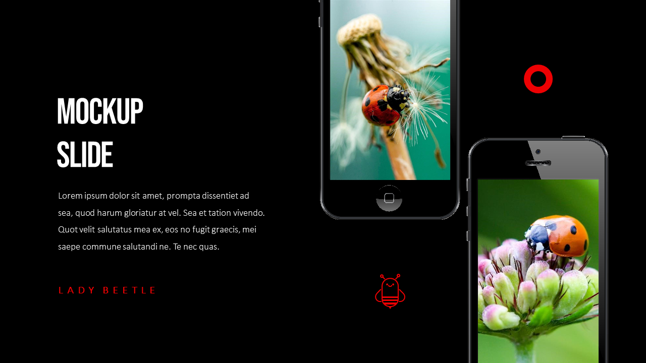 Ladybug Theme Presentation Templates