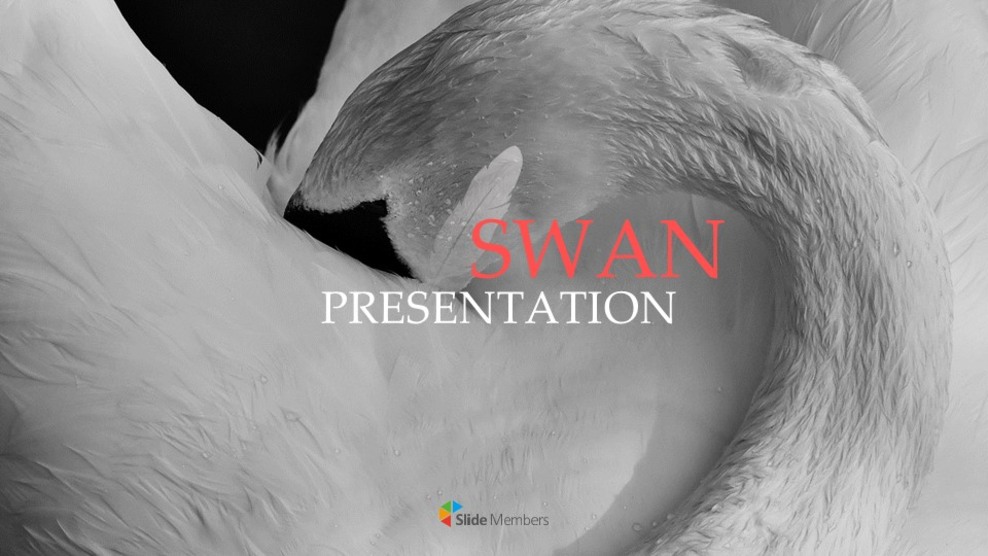 Swan Simple Google Templates_01