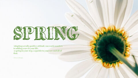 Spring|Theme Slides|Diagram