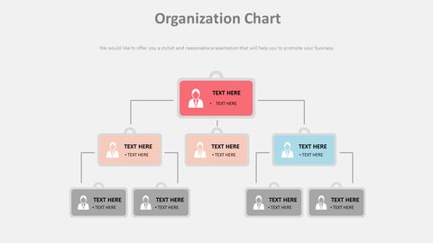 Organization Chart Diagram