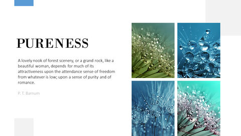Purity