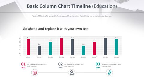 Basic Column Chart Timeline (Education)
