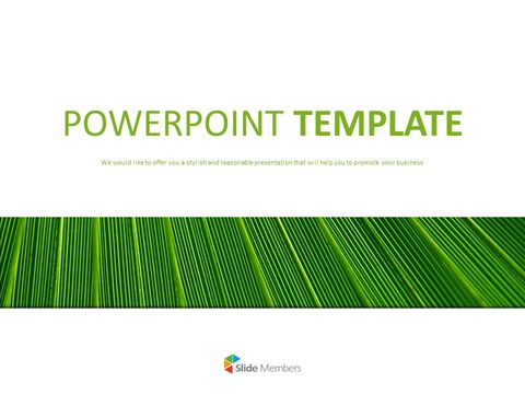 Green Striped Texture- Quadrangled Border - Google Slides Images Free