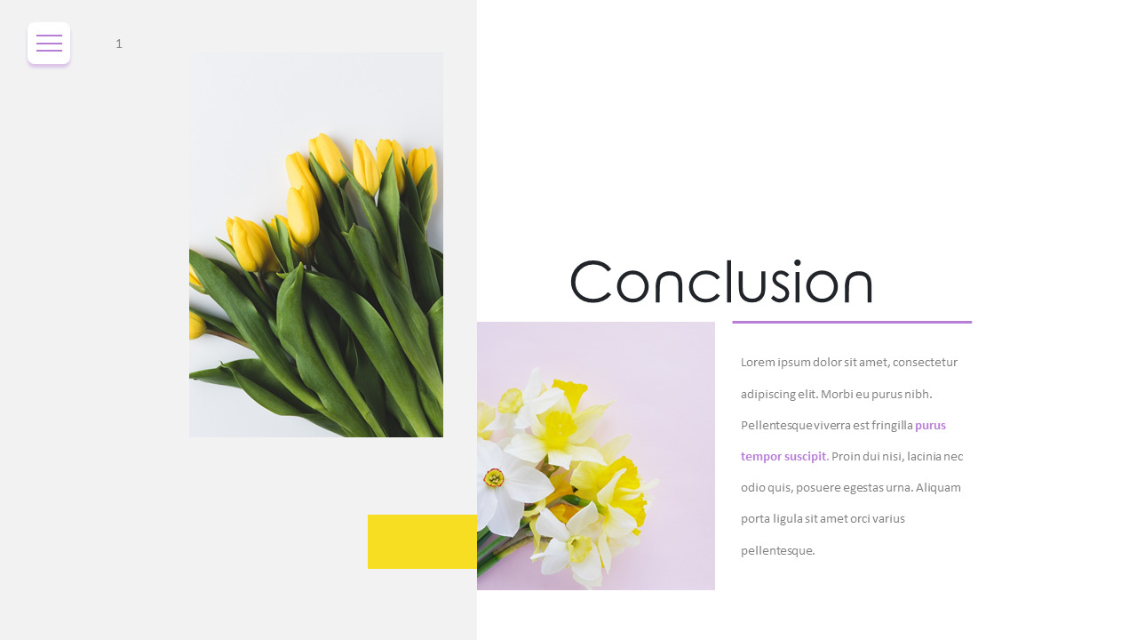 Flower Conclusion pitch deck design