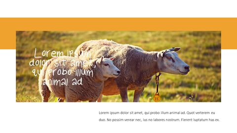 Cattle Farm Business PowerPoint Templates|Industry