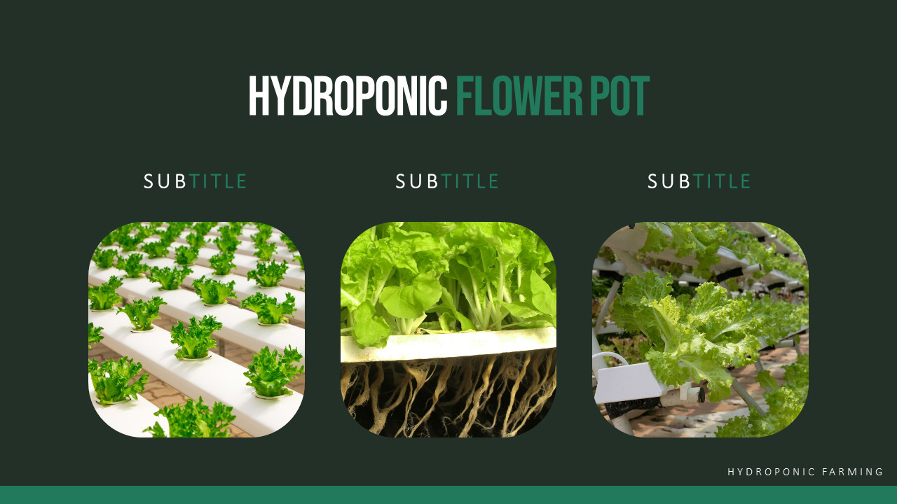 hydroponics gardening download hydroponics gardening download