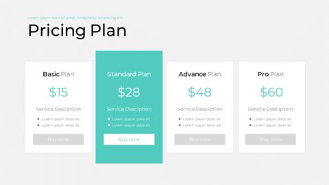 Pricing Plan Single Layout|Prices|Slides