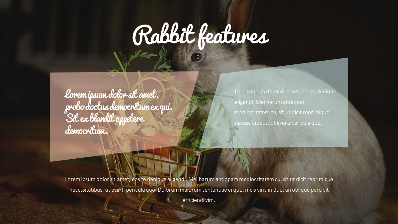 rabbit business strategy ppt lifestyle